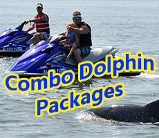 dolphin tours orange beach tripadvisor