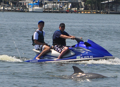 Dolphin Waverunner