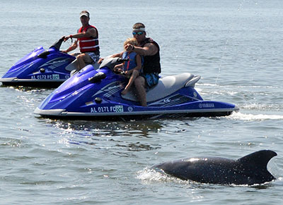 Waverunner Dolphin Tours